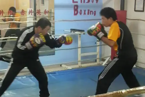 マスボクシング風景